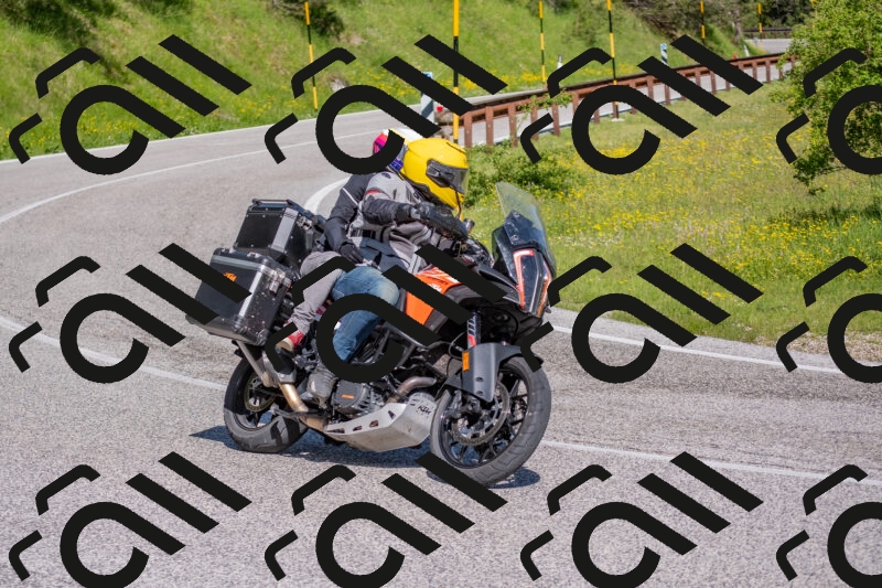 202506020952-DSC_6927_c4_