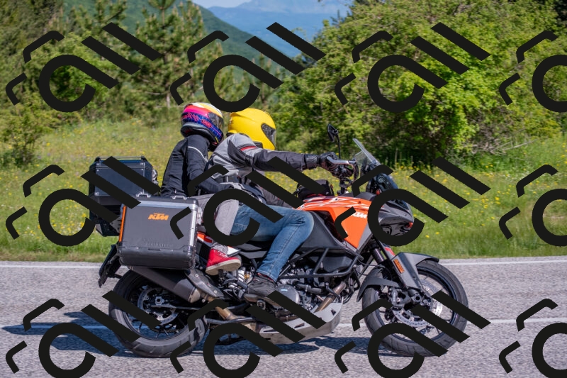 202506020952-DSC_6928_c4_