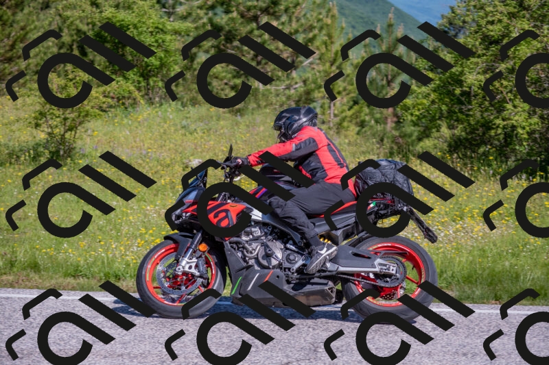 202506020953-DSC_6937_c4_