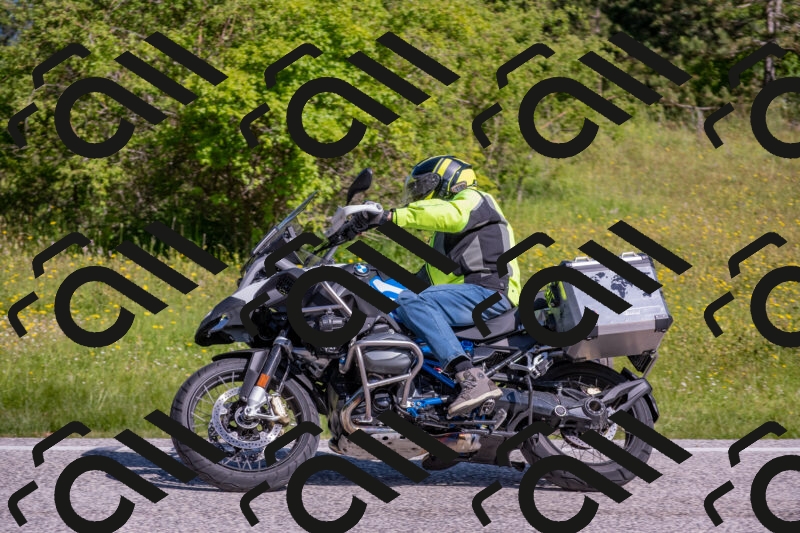 202506020953-DSC_6939_c4_