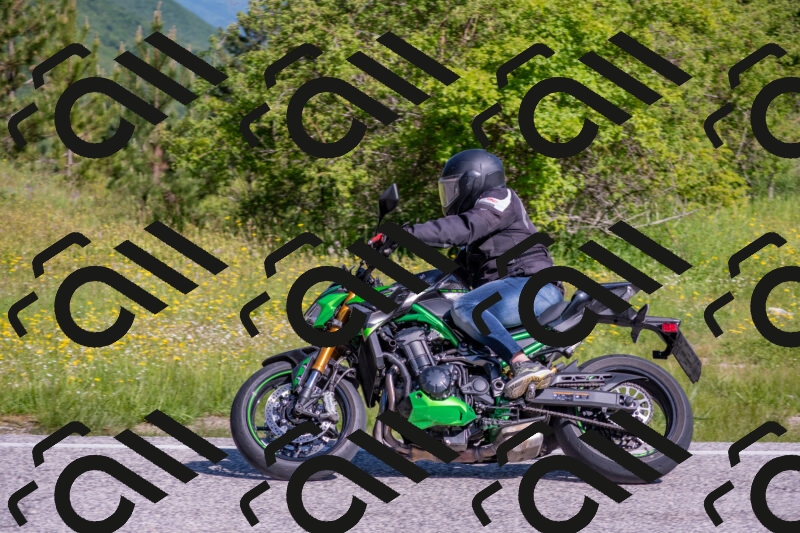 202506020955-DSC_6943_c4_