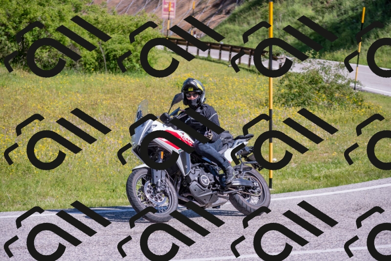 202506020955-DSC_6944_c4_