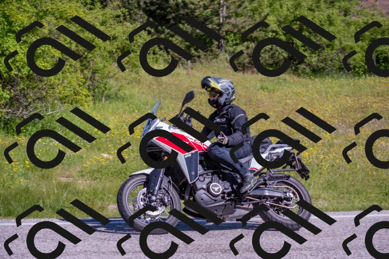 202506020955-DSC_6945_c4_