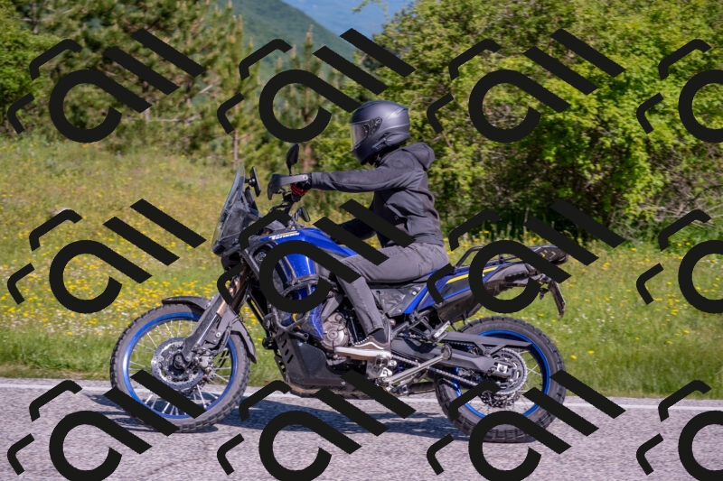 202506020955-DSC_6949_c4_