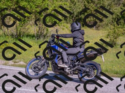 202506020955-DSC_6950_c4_