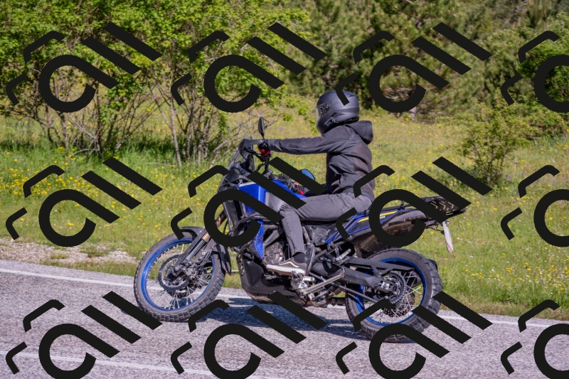 202506020955-DSC_6950_c4_