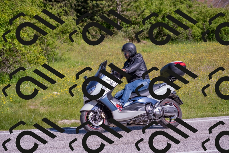 202506020956-DSC_6952_c4_