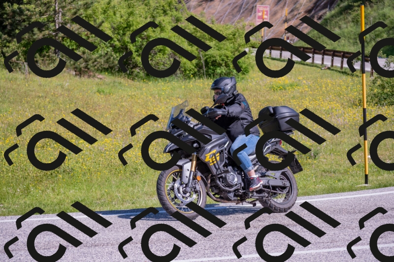 202506020956-DSC_6953_c4_