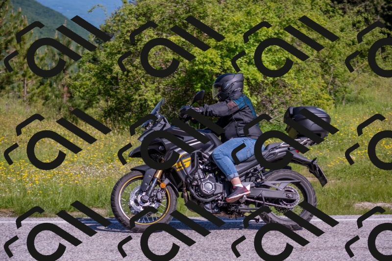 202506020956-DSC_6954_c4_