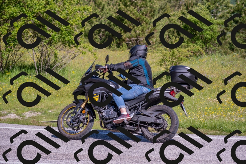 202506020956-DSC_6955_c4_