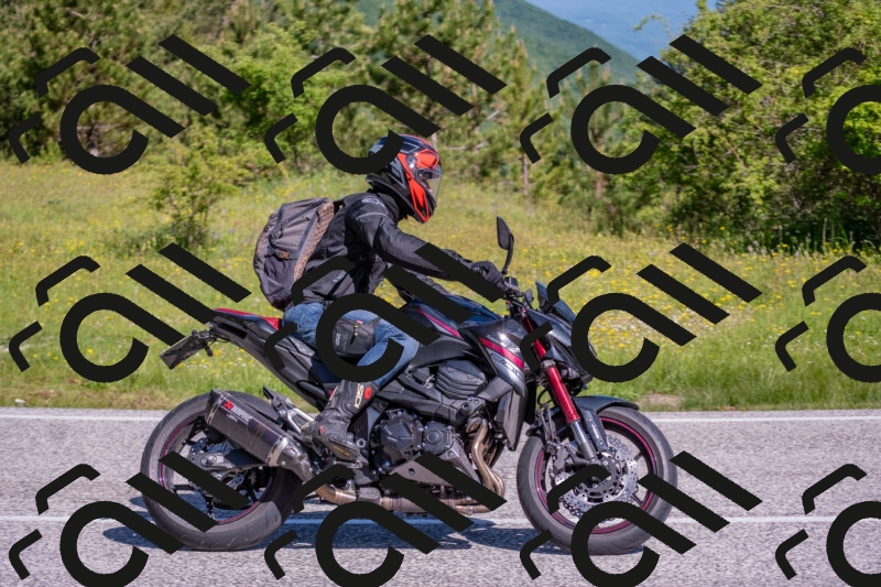 202506020957-DSC_6966_c4_