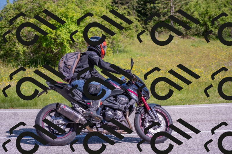 202506020957-DSC_6967_c4_