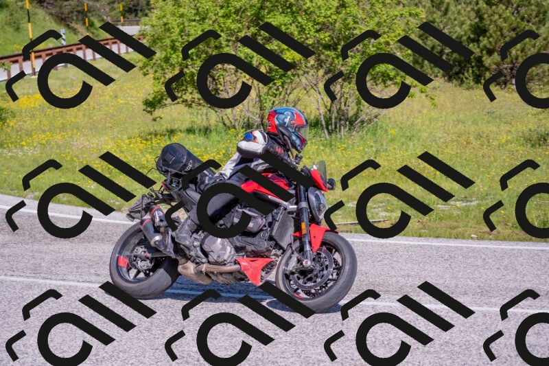 202506020957-DSC_6972_c4_