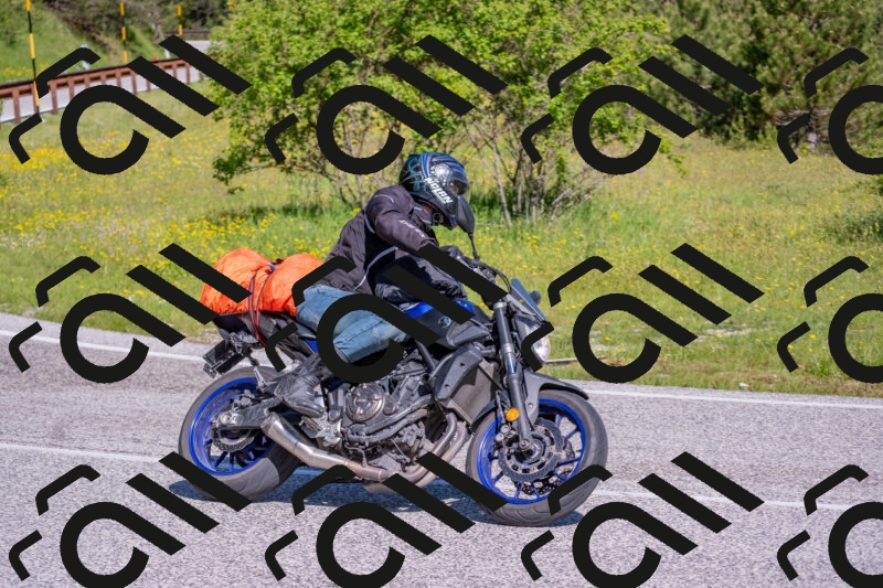 202506020957-DSC_6974_c4_