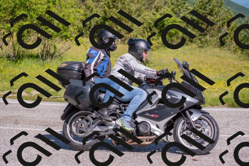 202506020958-DSC_6981_c4_