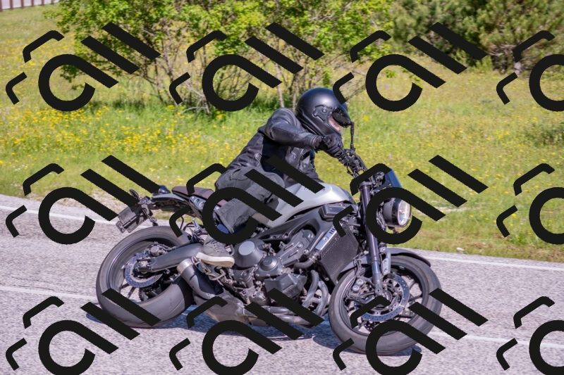 202506020958-DSC_6985_c4_