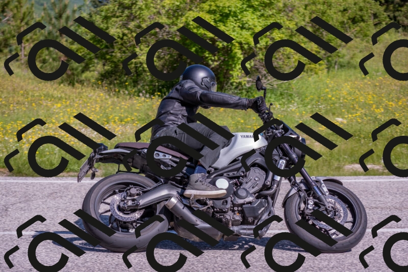 202506020958-DSC_6986_c4_