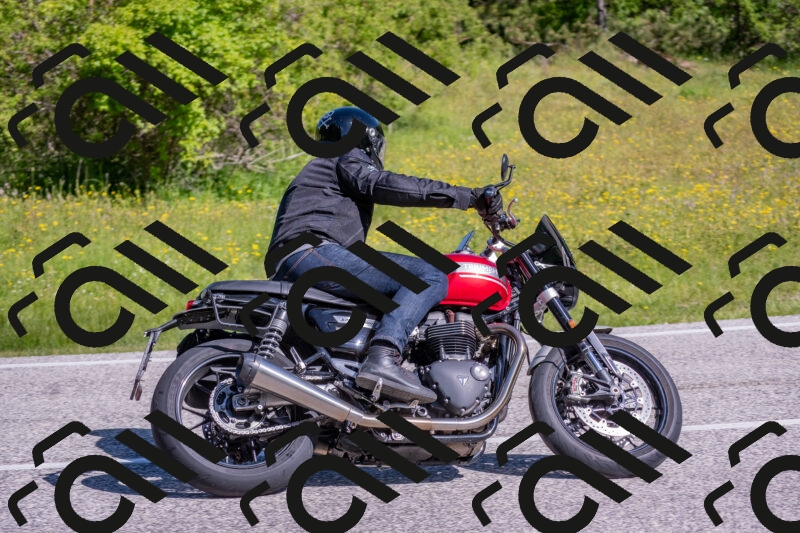 202506020958-DSC_6990_c4_