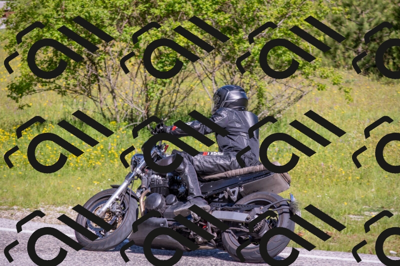 202506020959-DSC_7004_c4_