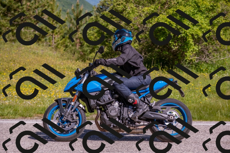 202506020959-DSC_7008_c4_