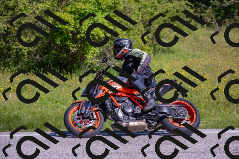 202506020959-DSC_7015_c4_