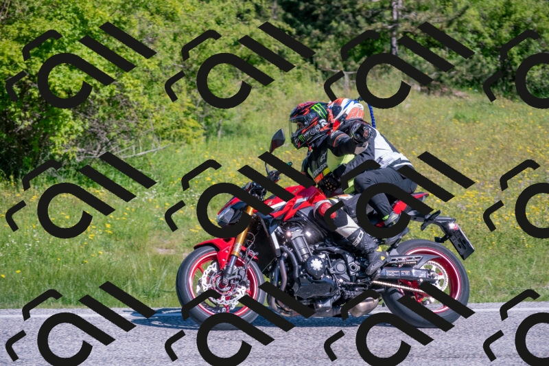 202506020959-DSC_7017_c4_