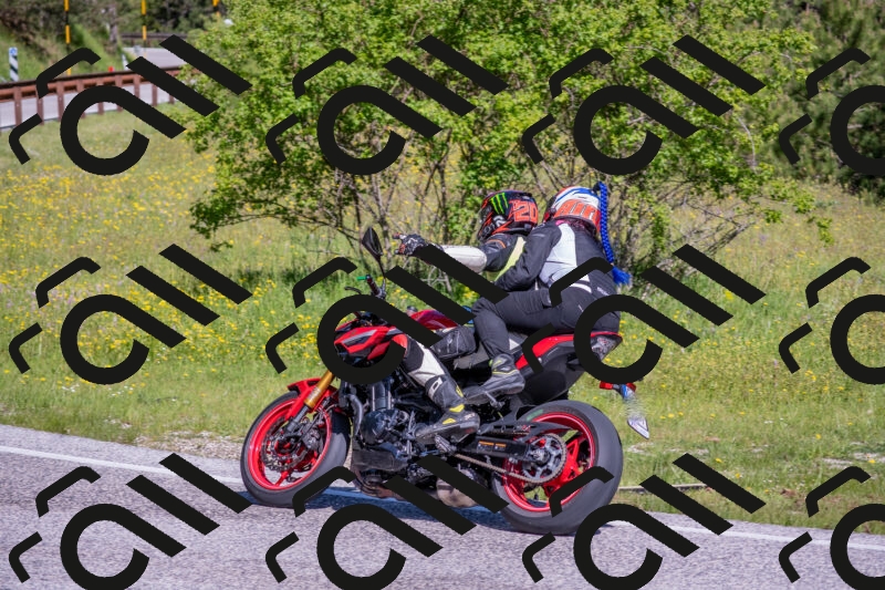 202506020959-DSC_7019_c4_