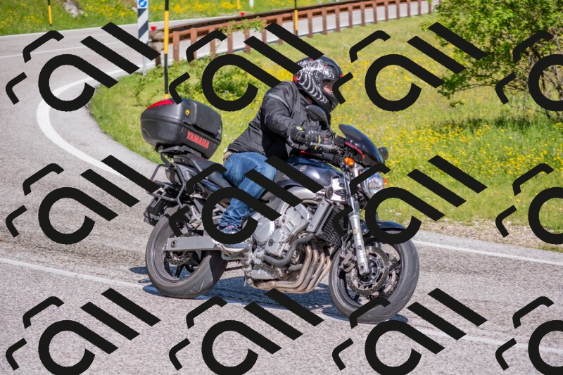 202506021000-DSC_7025_c4_