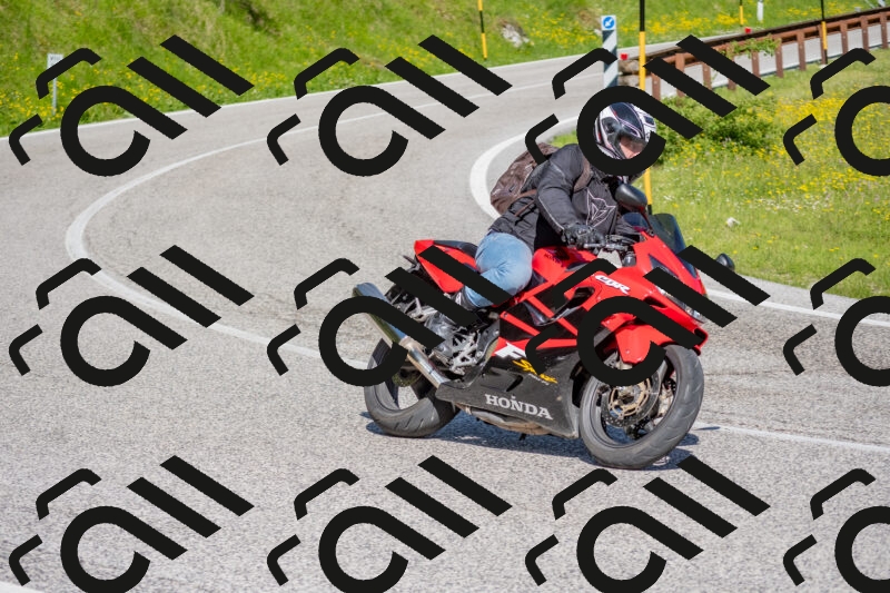 202506021000-DSC_7027_c4_