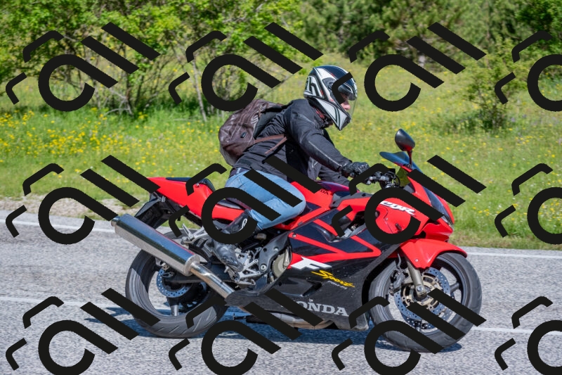 202506021000-DSC_7028_c4_