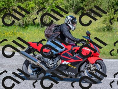 202506021000-DSC_7028_c4_