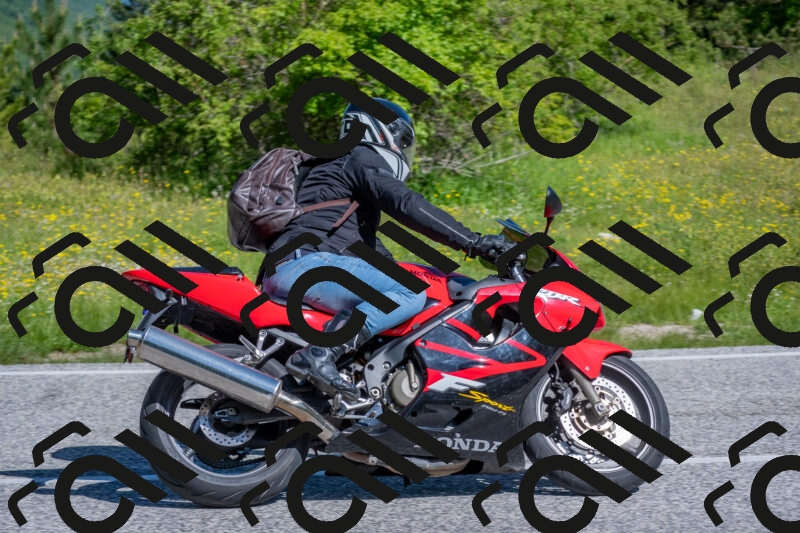 202506021000-DSC_7029_c4_