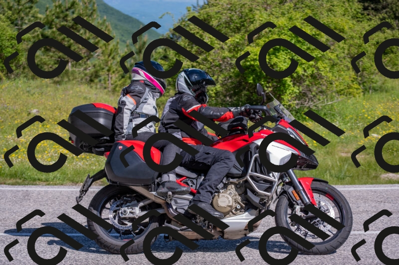 202506021003-DSC_7032_c4_