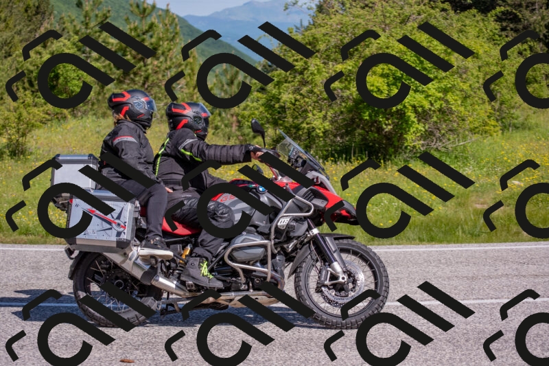 202506021003-DSC_7041_c4_