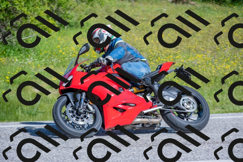 202506021003-DSC_7051_c4_