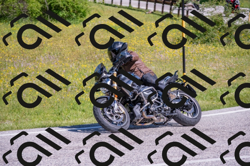 202506021003-DSC_7055_c4_