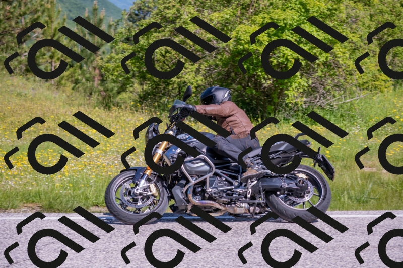 202506021003-DSC_7056_c4_