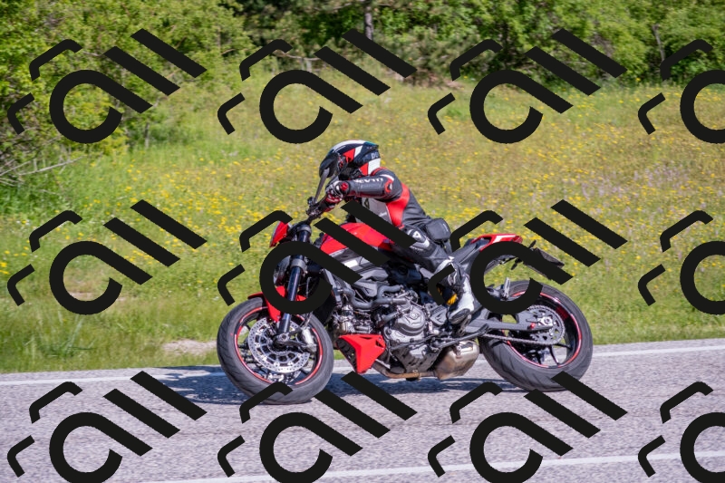 202506021003-DSC_7060_c4_