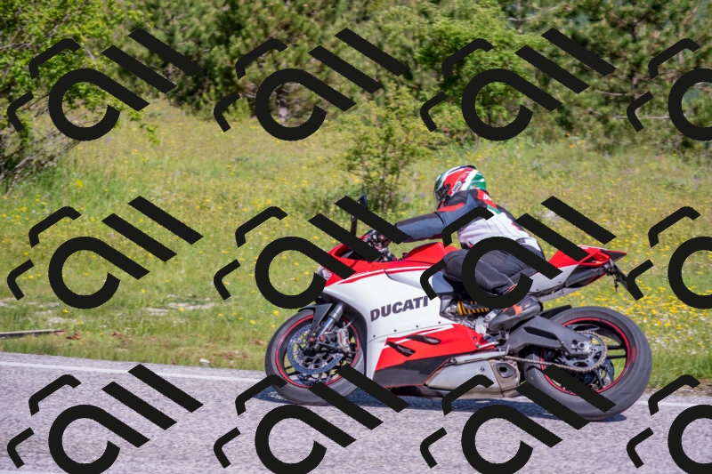 202506021003-DSC_7063_c4_