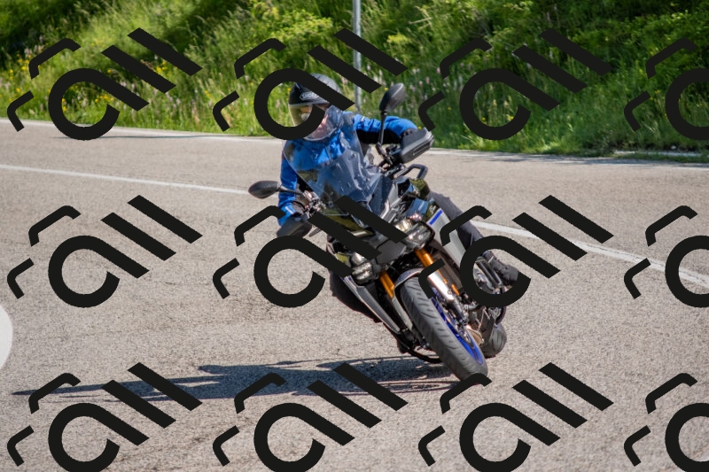 202506021003-DSC_7064_c4_