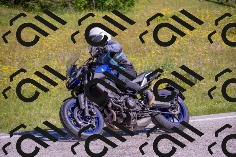 202506021004-DSC_7069_c4_