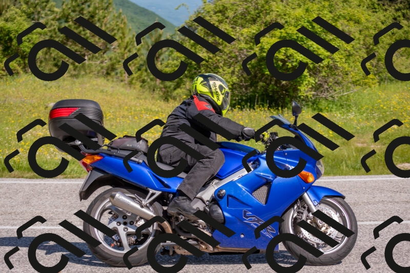 202506021007-DSC_7079_c4_