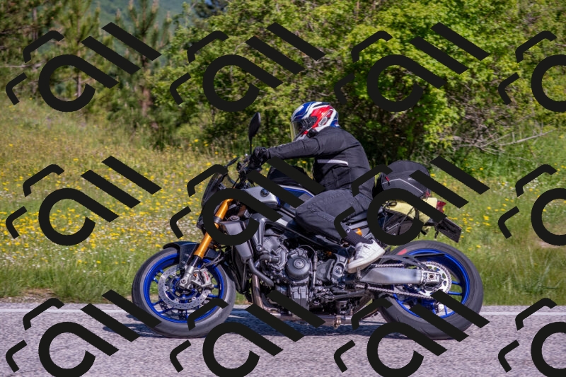 202506021009-DSC_7093_c4_