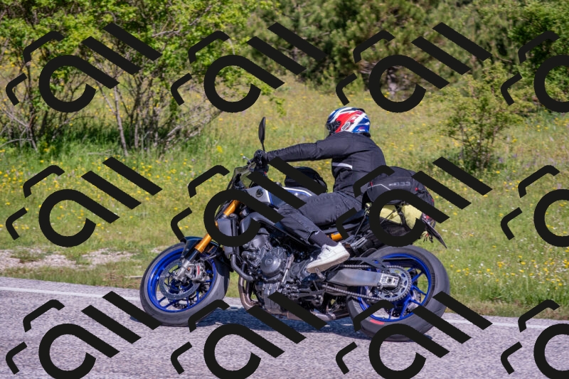 202506021009-DSC_7094_c4_