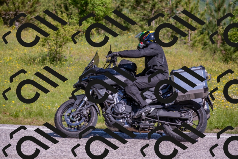 202506021009-DSC_7100_c4_