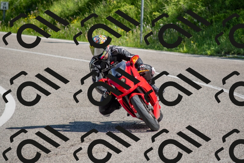 202506021009-DSC_7101_c4_