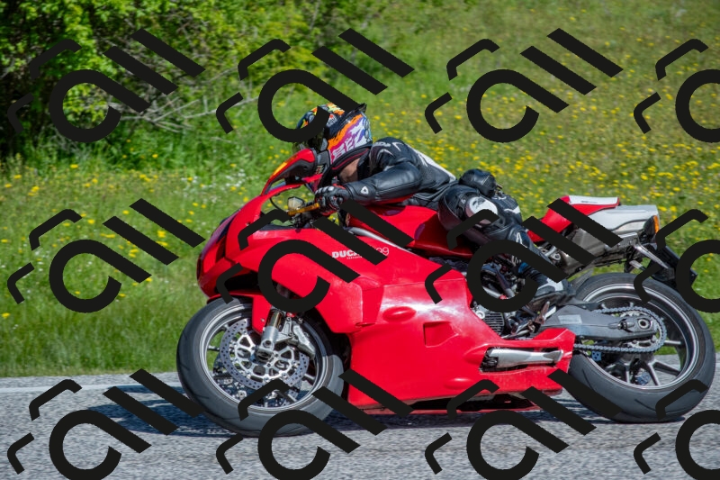 202506021009-DSC_7104_c4_