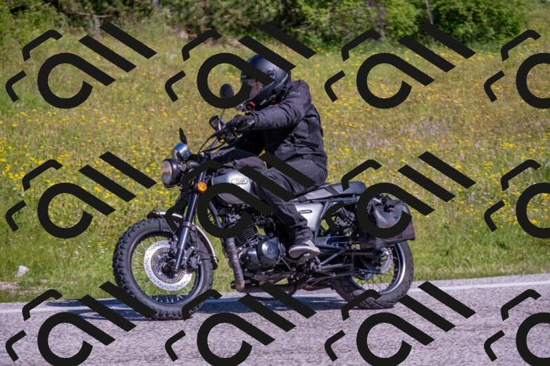 202506021009-DSC_7107_c4_