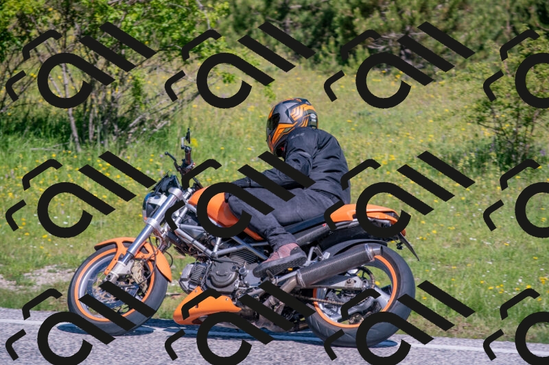 202506021009-DSC_7112_c4_