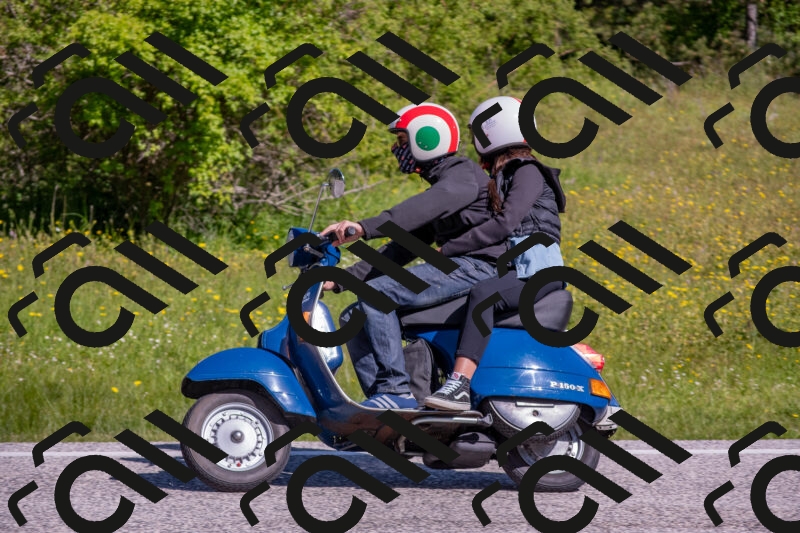 202506021009-DSC_7117_c4_